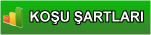 ALTILI GANYAN KOU ARTLARI
