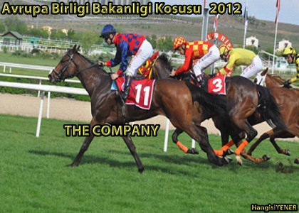 Avrupa Birlii Bakanl Kousu
u THE COMPANY kazand
