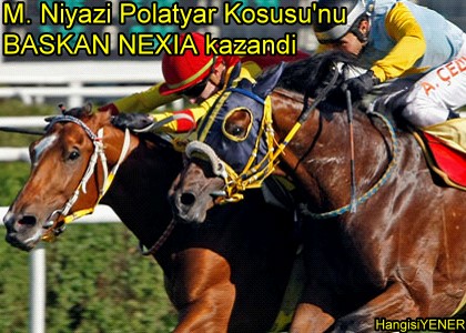 M. Niyazi Polatyar Kousunu BAKAN NEXIA kazand