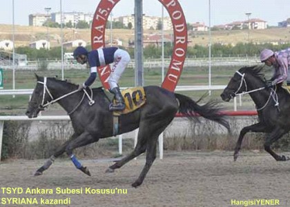 TSYD Ankara ubesi Kousunu SYRIANA kazand