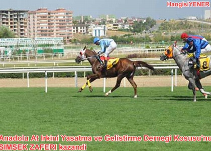 MEK ZAFER DREND VE KAZANDI