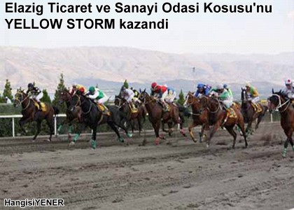 Elaz Ticaret ve Sanayi Odas Kousunu YELLOW STORM kazand
