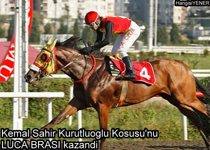LUCA BRASI KALTESN SPATLADI