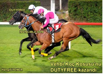 VEHB KO KOUSU GALB DUTYFREE OLDU