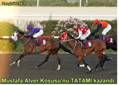 TATAM DEN 32,35 GANYAN