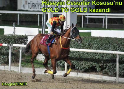 GOLD TO GOLD RAKP TANIMIYOR