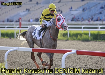 Haralar Kousunu DENZM kazand