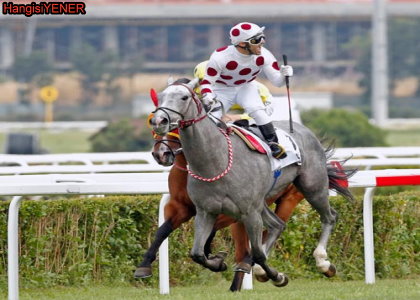 GRAYSTORM BAARILI BR OPERASYON GERD