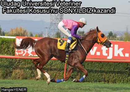 ULUDA UNVERSTES VETERNER FAKULTWS KOUSUNU AMPYONU BELL OLDU