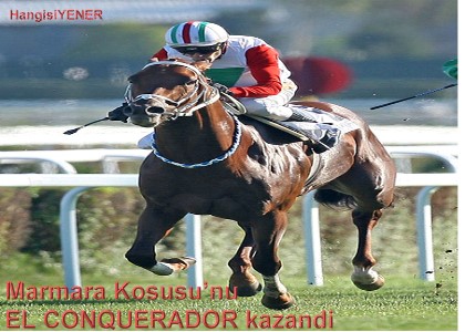 O BR BAKA GZEL