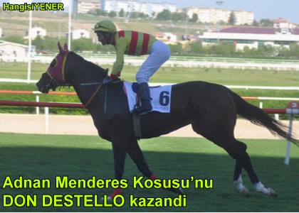 DON DESTELLO ANKARA PSTN SEVD