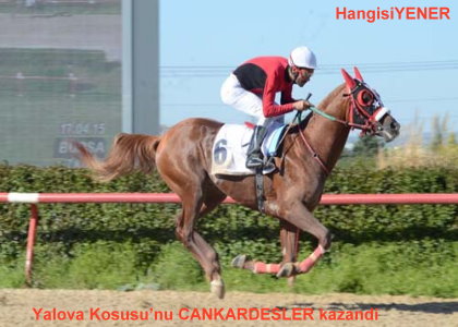  Yalova Kousunu CANKARDELER kazand 