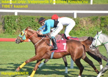TBET E KISA ARA YARAMI