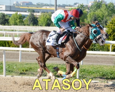 Yalova Kousunda kazanan ATASOY oldu