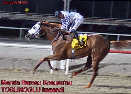 Mersin Barosu Kousunu TOSUNOLU kazand