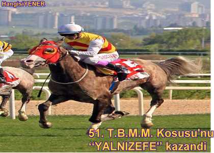 51.T.B.M.M KUPASI SAHBN BULDU