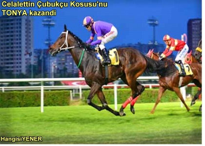 ALTILI NCES FAVORMZ OLAN TONYADAN GZEL BR BAARI DAHA GELD