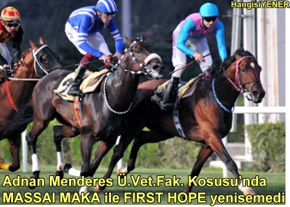 ADNAN MENDERES  .VET.FAK.KOUSU ,MTH FNAL AT BAI SONULANDI