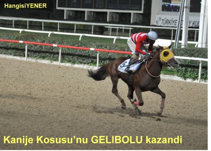 GELBOLU FARKINI FARK ETTRD