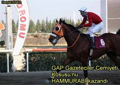 HAMMURAB GER DND