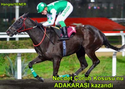ADAKARASI FORMUNU YAKALADI
