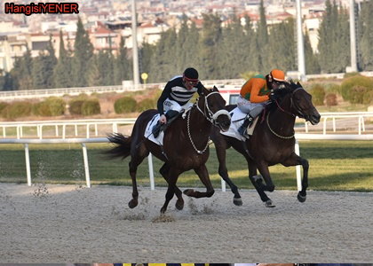 William Giraud Kousunu  GRSOYHAN kazand 
