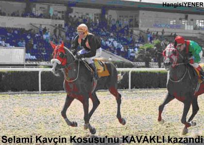 Selami Kavn Kousu
u KAVAKLI kazand 