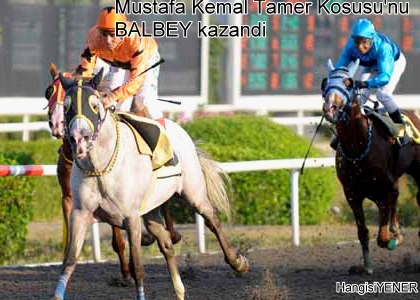 Mustafa Kemal Tamer KousuNU BALBEY kazand