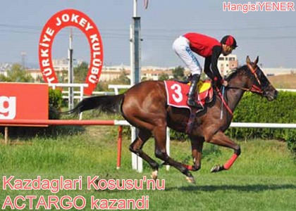 ACTARGO YNE  EFFETMED
