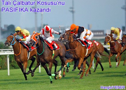 TEBRKLER PASFKA BZ YANILTMADIN