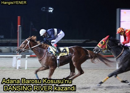 Adana Barosu Kousunu DANSING RIVER kazand