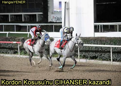 CHANSERDEN BEYAZ BAYRAK AYNA