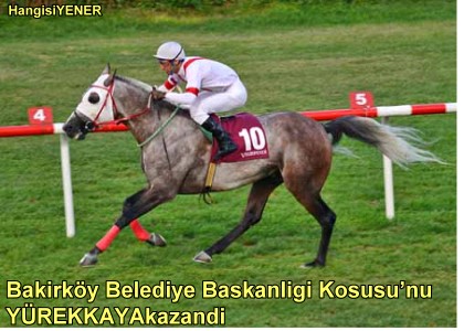 Bakrky Belediye Bakanl KousuNU YREKKAYAkazand