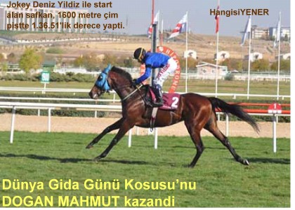Dnya GIDA GN KOUSU DOAN MAHMUT UN
