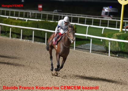CEM CEM FORMUNUN ZRVESNDE