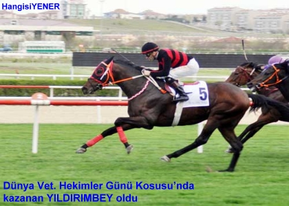 DNYA VET.HEKMLER GN KOUSU GALB YILDIRIMBEY OLDU