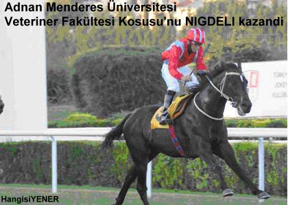 NDEL SAHNEDE
