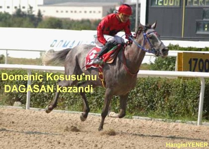 DOMAN KOUSUNU DAAAN KAZANDI