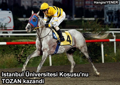 stanbul niversitesi KousuNU TOZAN kazand