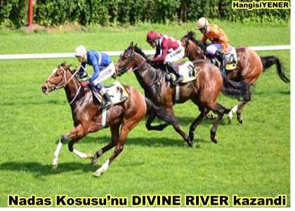Nadas Kousunu DIVINE RIVER kazand