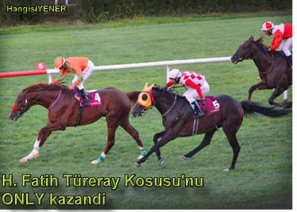 ONLY DEN MTHTEEM TEMPO YARII