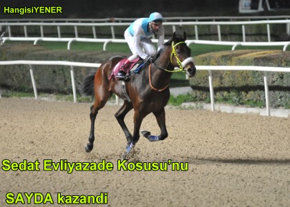 SAYDA VE DERLER