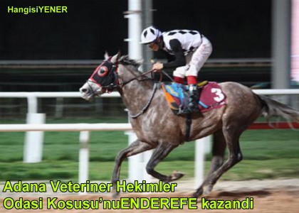 ENDEREFE GELMEZM DYOR