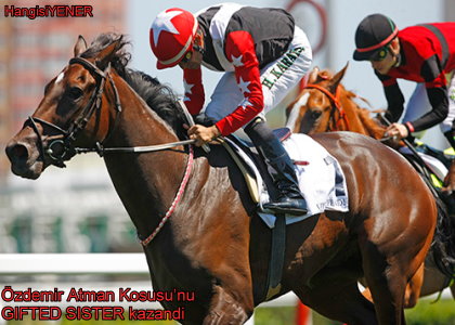 zdemir Atman Kousunu  GIFTED SISTER kazand