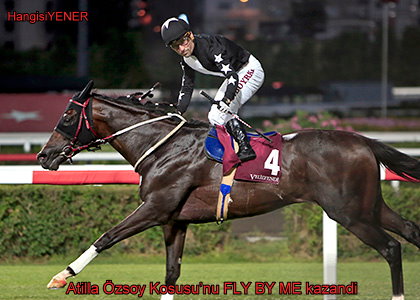 ZLENEN SAFKAN FLY BY ME