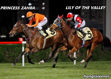 Trk Kalp Vakf Kousunu PRINCESS ZAHRA kazand
