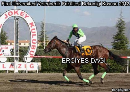  Frat niversitesi Veterinerlik Fakltesi Dekanl Kousu ERCYES DAI kazand