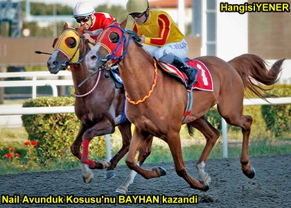 BAYHAN GER DND