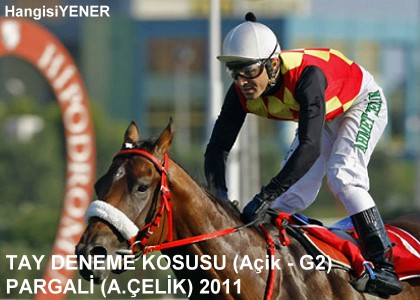VEL EFENDDE MUHTEEM PAZAR  