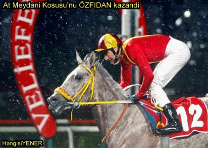 At Meydan Kousunu ZFDAN kazand